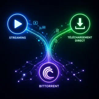 Trois technologies différentes, ddl, torrent, p2p, streaming